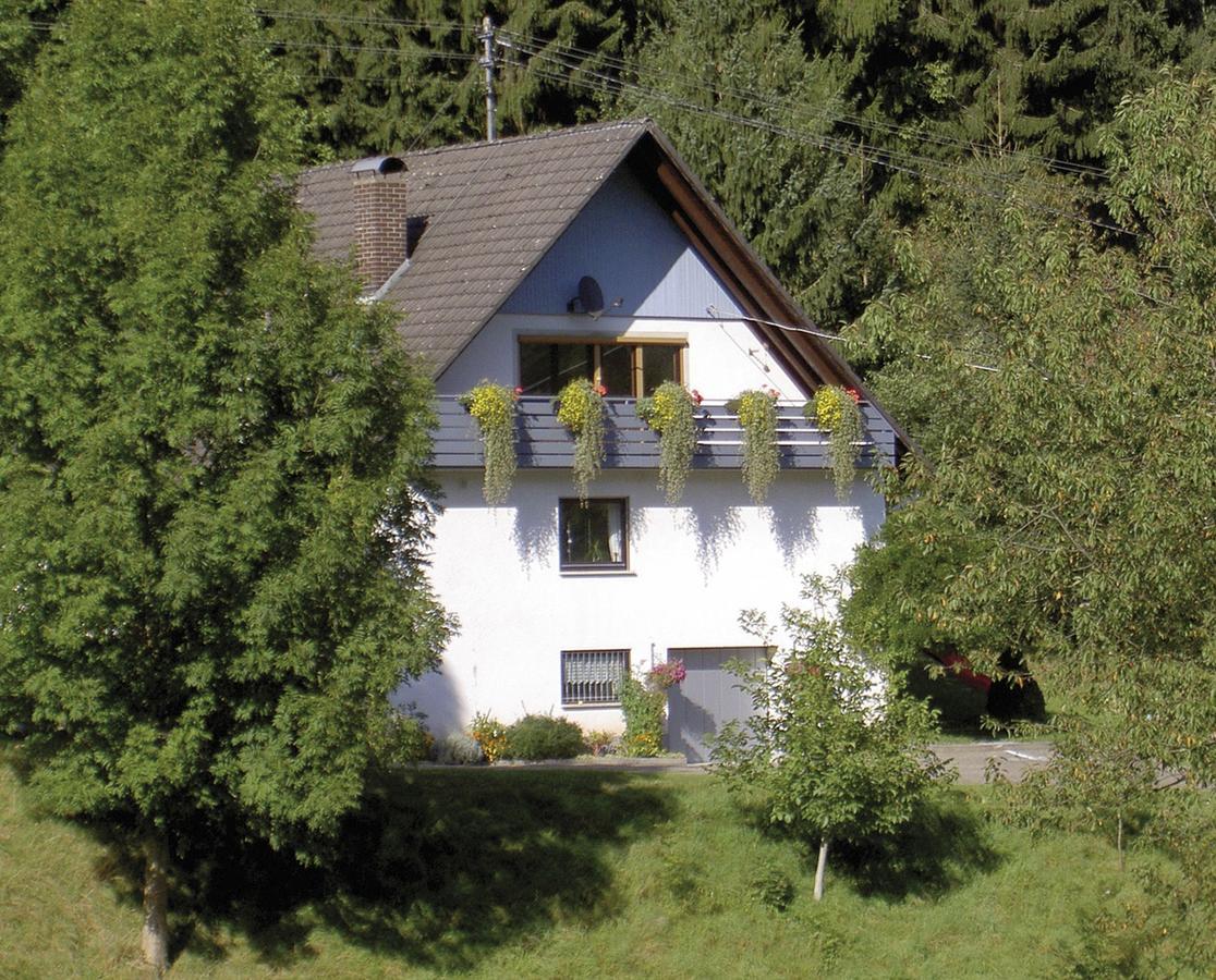 Appartement Haus Wolter à Gengenbach Extérieur photo